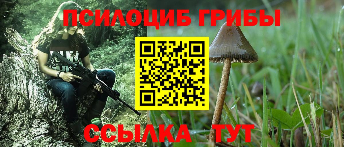 Псилоцибиновые грибы Cubensis Когалым